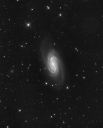 NGC2903summeklein.jpg